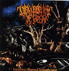Disfigurement Of Flesh - Psychotonic Abnormal Dismemberment