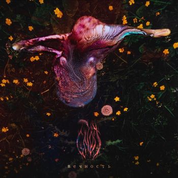 Gnot - Вечность